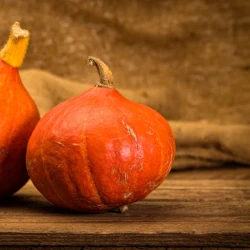 Courge Potimarron