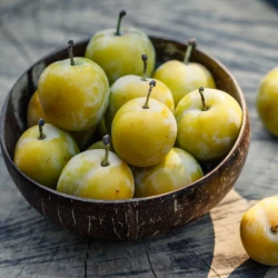 Prune Reine Claude Bio