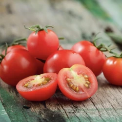 Tomate Cerise