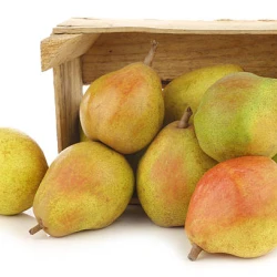 Poire Comice